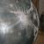 Il Planetario in costruzione